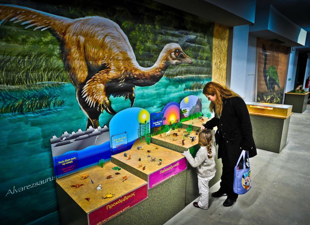 Natural History Museum of Crete – Visit Heraklion